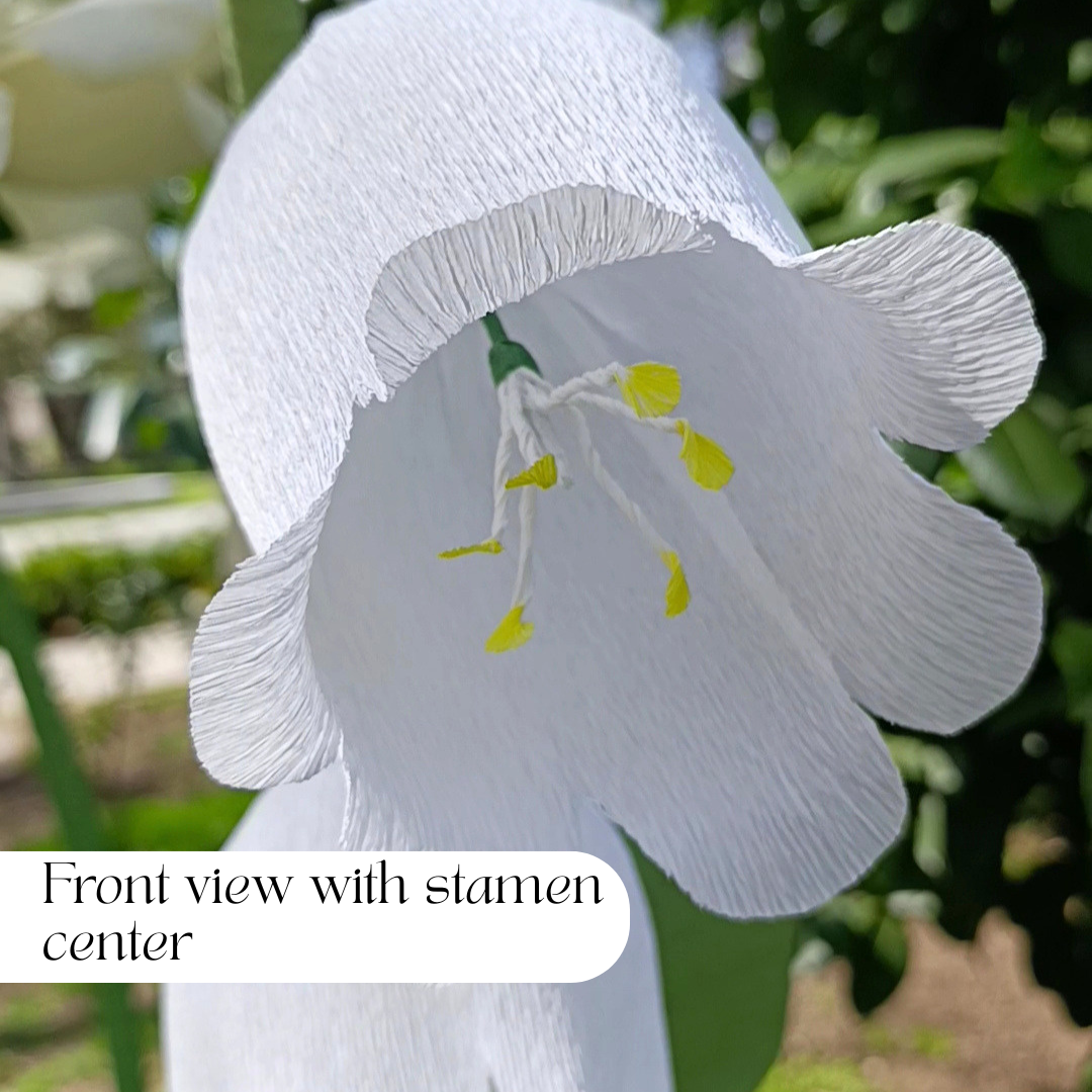 Giant Lily of The Valley Template