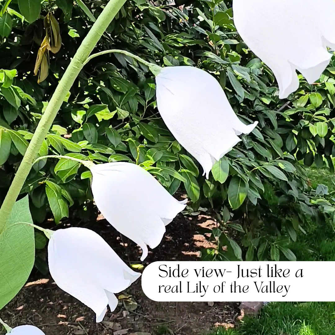 Giant Lily of The Valley Template