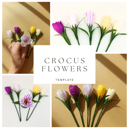 Crocus Flower Template