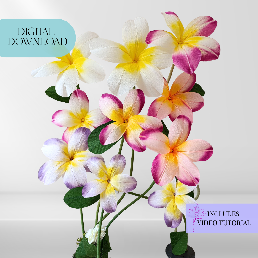 Giant Plumeria Flowers